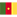 Vlag Cameroon